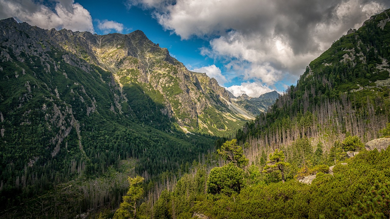 Scenic 5-Day Road Trip through the High Tatras, Slovakia